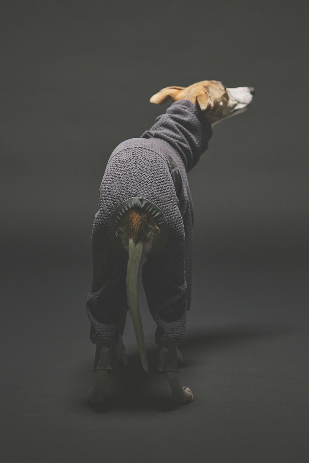 SIVI テクニカルフリースカバーオール | SIVI｜イタグレ 服