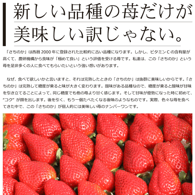 完熟「さちのか」 苺1kg – 園村苺園