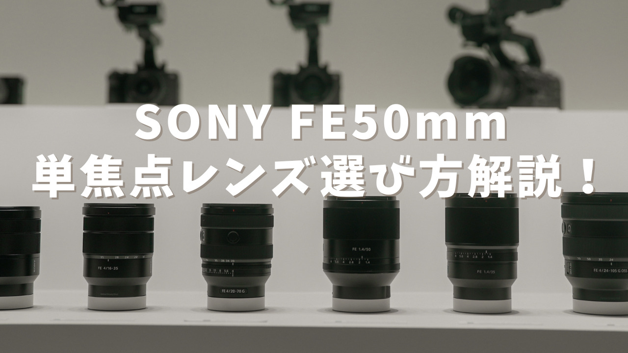 SONY 50mm単焦点レンズの選び方徹底解説！6本使ってきた感想も
