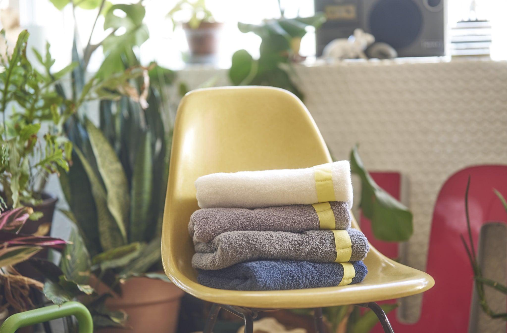 yellow ribbon｜イエローリボン – 育てるタオル 公式online store