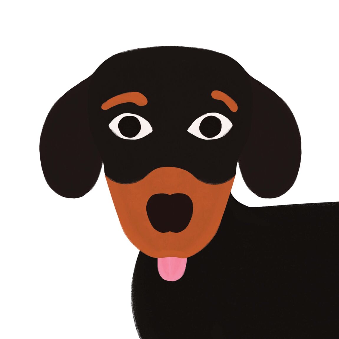 THOMAS GRAVEREAU / トーマ・グラヴロー / デザインコンセプトストアso