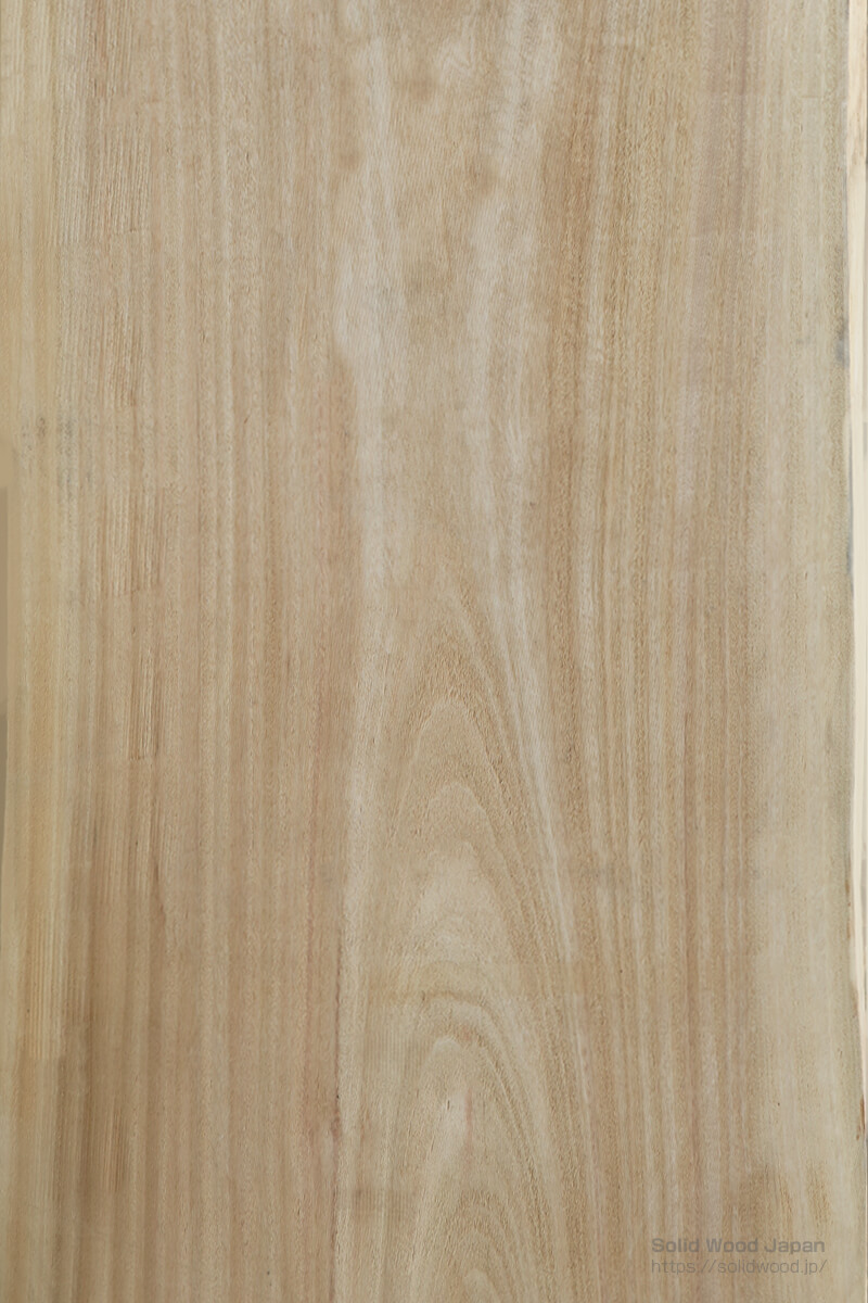 楠（くす）のベンチ86 いい楠の一枚板で杢目が大変