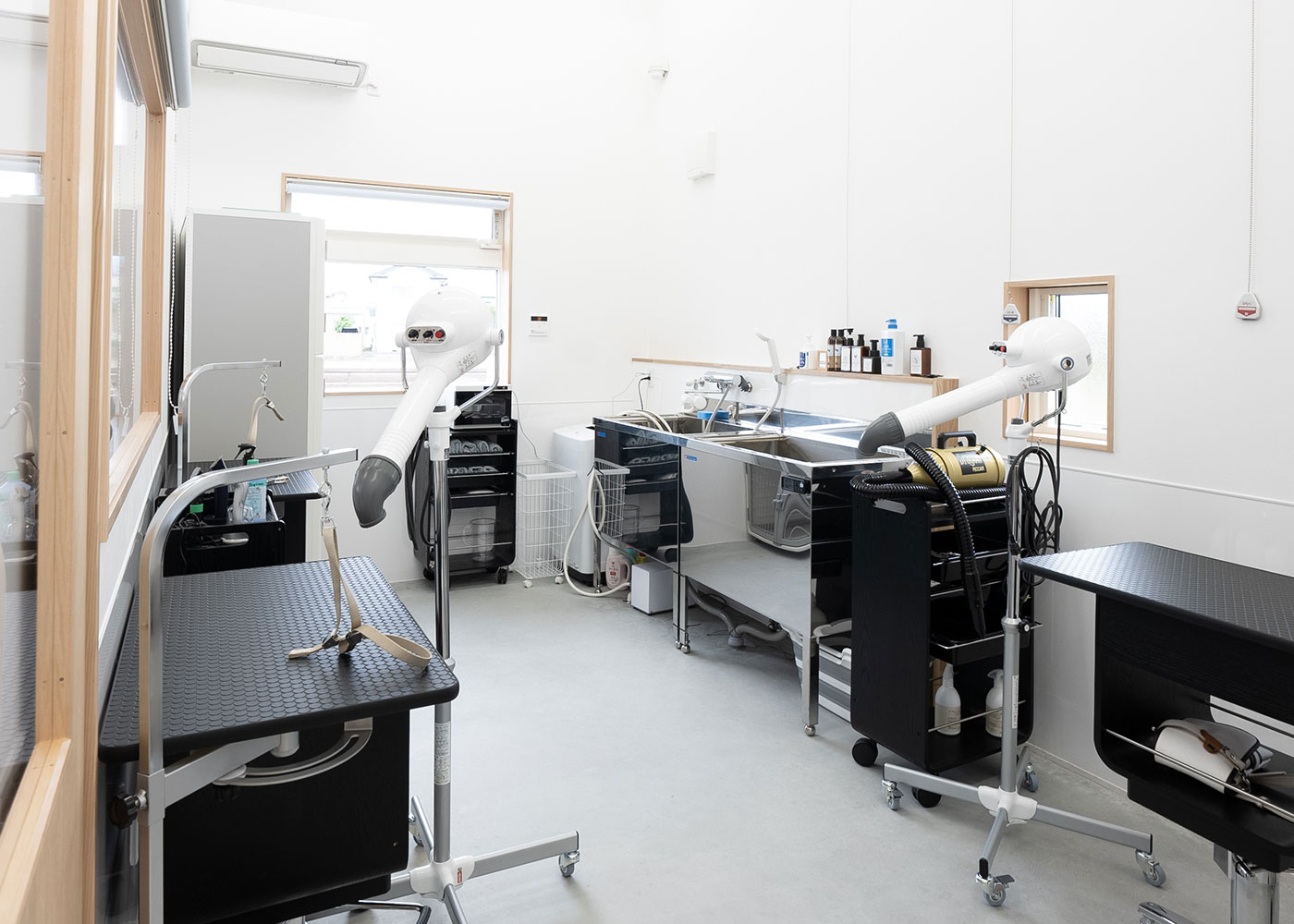 サロンについて | ドッグサロンsora to kaze(そらとかぜ)