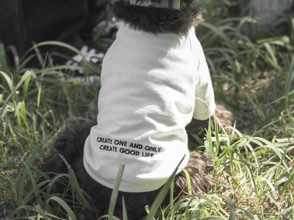 SIGNETONES-ITEMLIST ｜UITU ( ユイツ ) | SIGNETONES ( シグネット