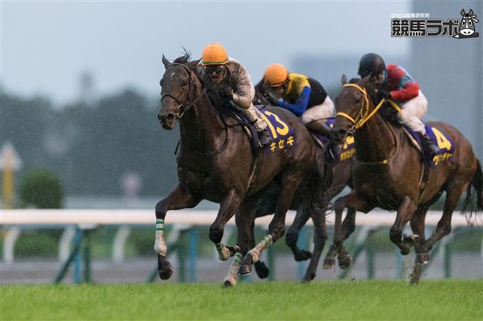 G1単勝馬券22枚 第13回ジャパンカップ 第56回菊花賞など G1単勝馬券22