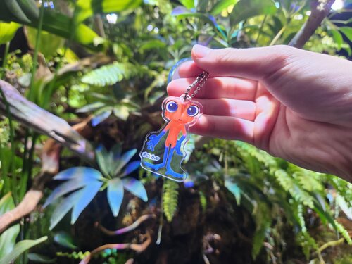 館内限定カプセルトイが初登場！水族館の人気者がオリジナルグッズに