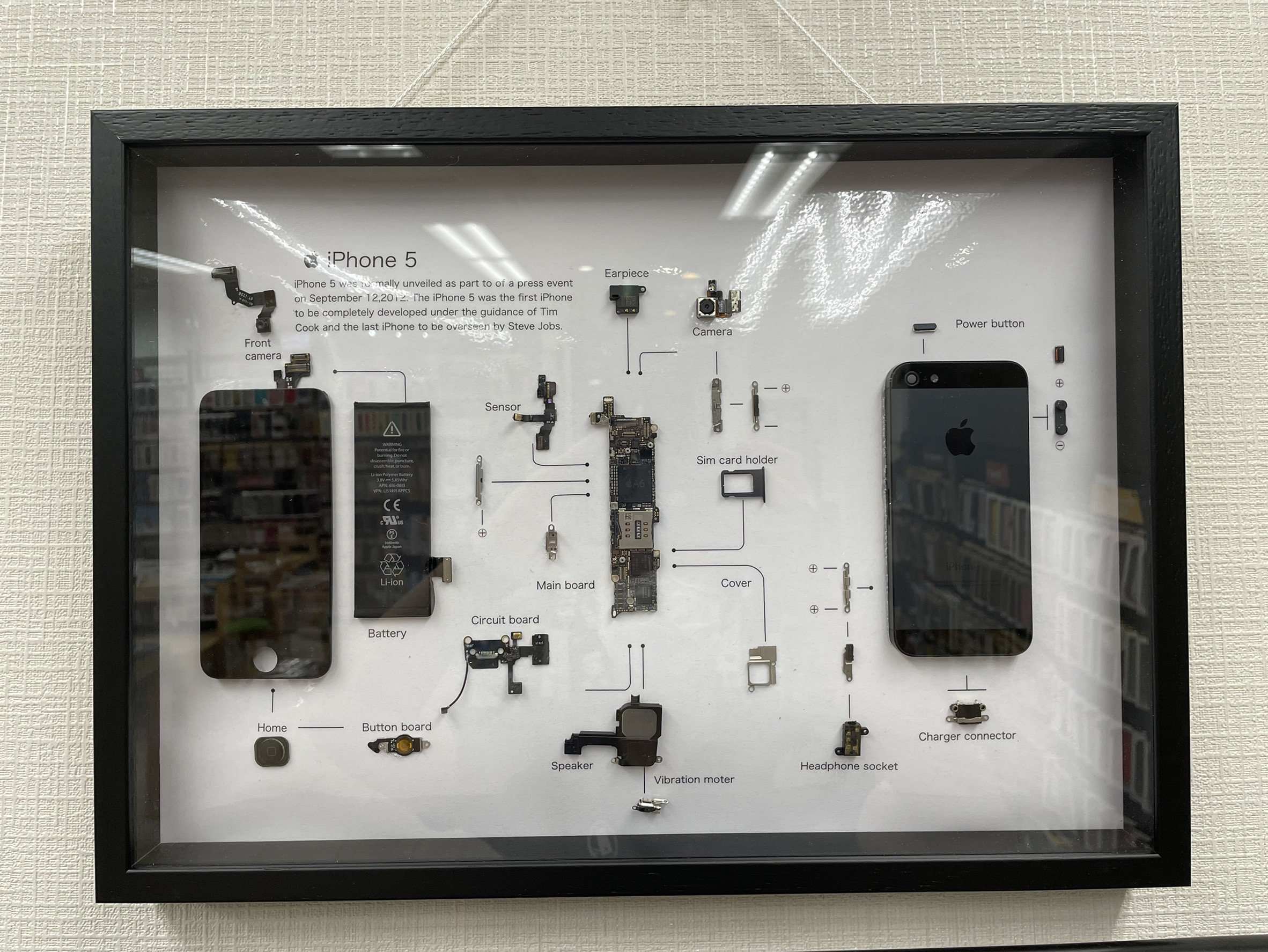 iPhone 5s White 分解アート 標本アート 一点もの 221015_xreart_0-1