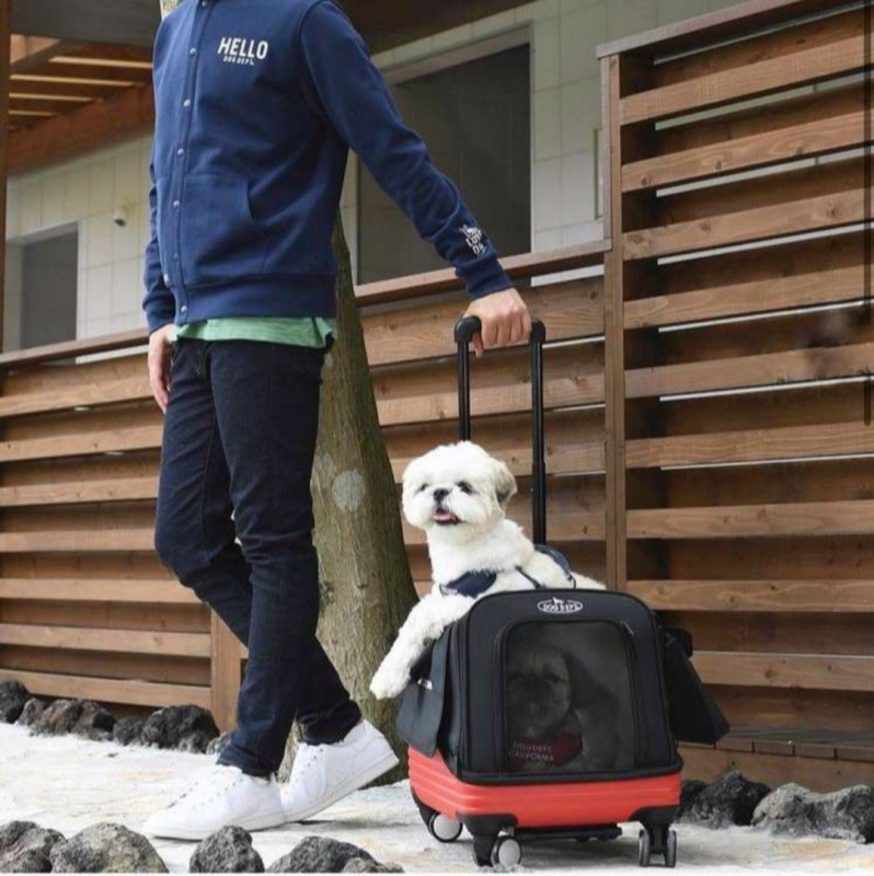 DOG DEPT. GARDENのスナップ | 玉川高島屋S・C | タカシマヤスナップ
