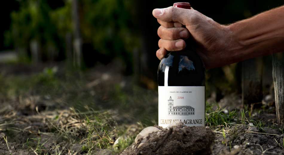 シャトー・ラグランジュの当たり年、味わいと飲み頃分析！完全ガイド