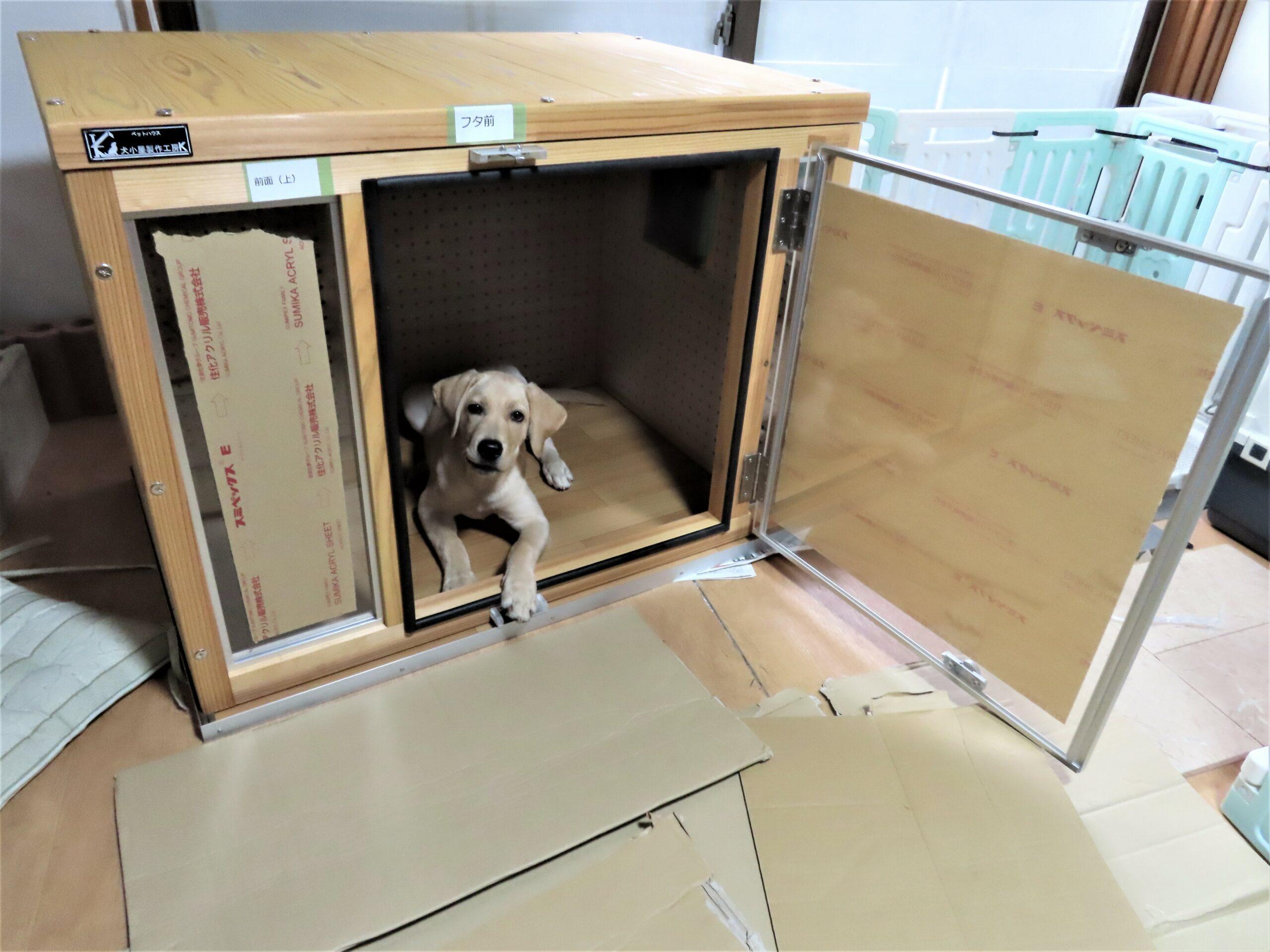 犬小屋製作工房K防音ケージ 犬用木製ケージ 透明扉付き 犬小屋