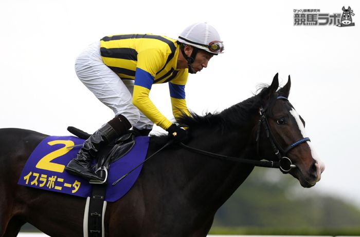 皐月賞馬イスラボニータ ルメールとの新コンビで天皇賞(秋)へ | 競馬