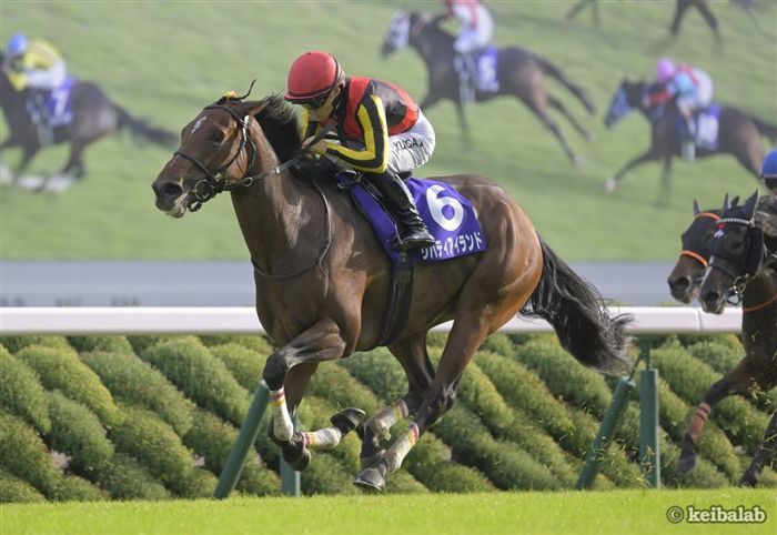 リバティアイランド - Liberty Island - 競走馬データベース | 競馬ラボ