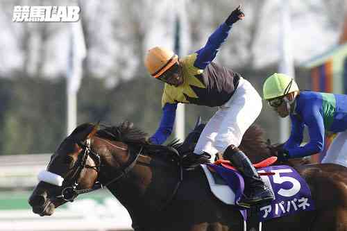 アパパネ】全G1的中馬券セット(牝馬三冠馬券含む／全現地馬券