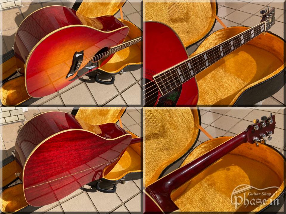 Morris WD-30 (DOVE TYPE) 中古 1475547 Morris(モーリス)【楽器検索