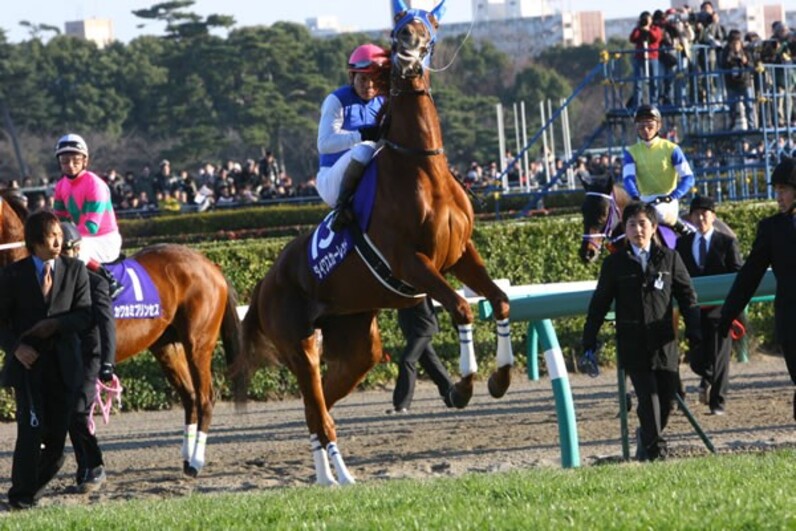 ダイワスカーレット圧逃V！ 37年ぶりの牝馬制覇=有馬記念