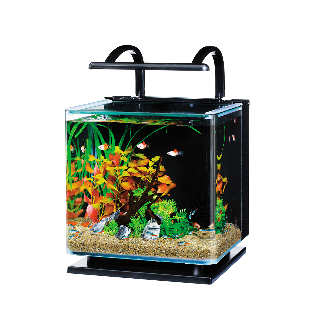 テトラ リビングキューブ 12｜観賞魚・水生生物関連商品｜スペクトラム