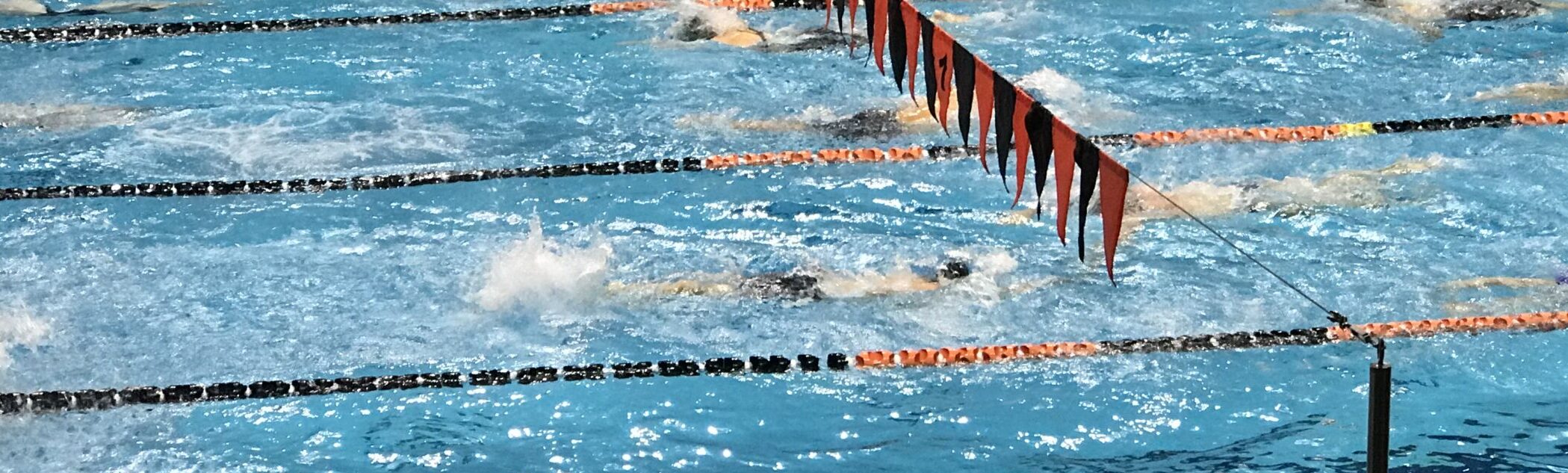 News - X-CEL Swimming