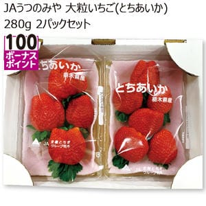 栃木県産 JAうつのみや 大粒いちご(とちあいか)280g 2パックセット【お