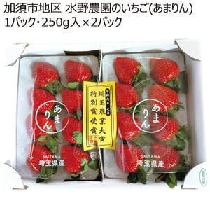 埼玉県加須市地区水野農園のいちご(あまりん)1パック・250g入×2パック