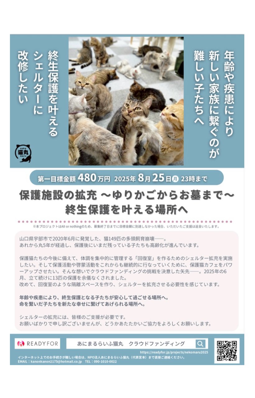 あにまるらいふ猫丸 猫丸 アニマルライフネコマル アニマルライフ猫丸