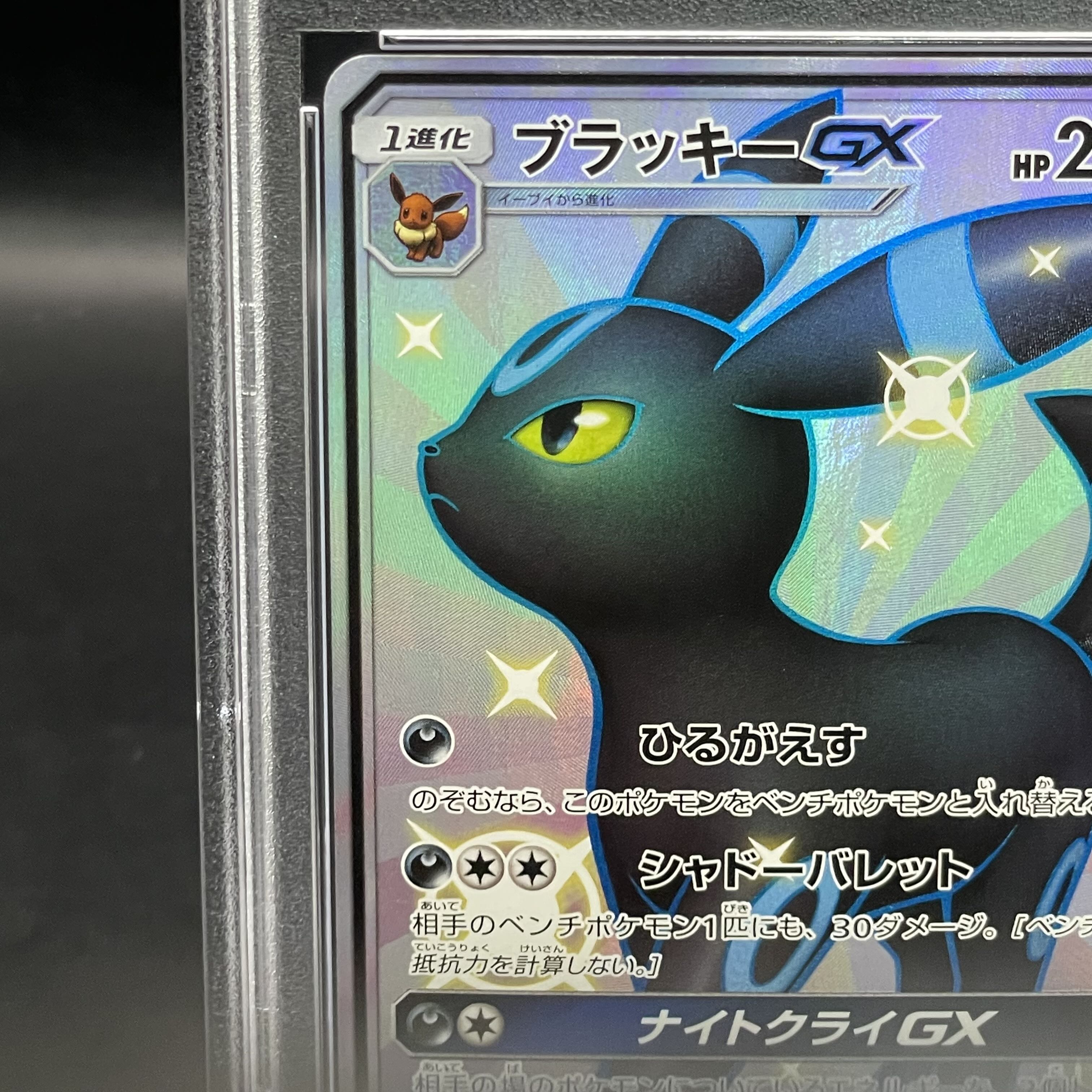 PSA10】ブラッキーGX SSR 229/150 最安値 ブラッキー GX SSR ポケモン