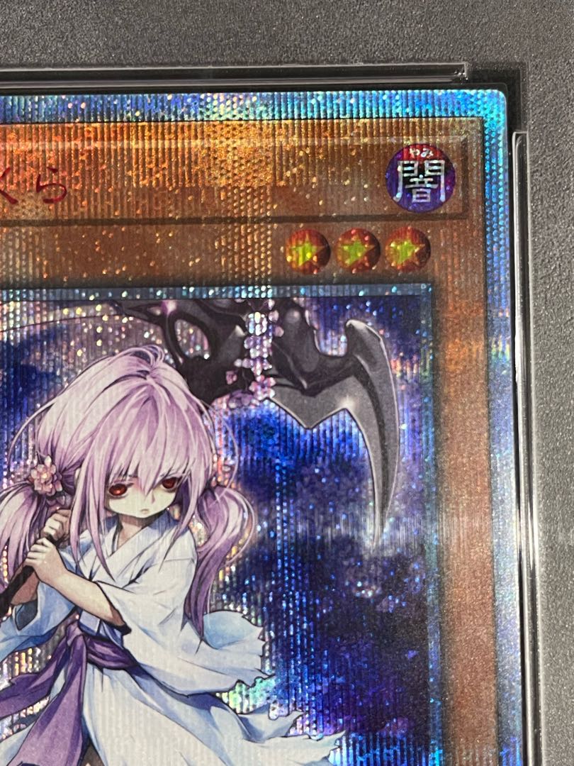 極美品】遊戯王 トゥーン マジシャンガール ブルーアイズ シークレット