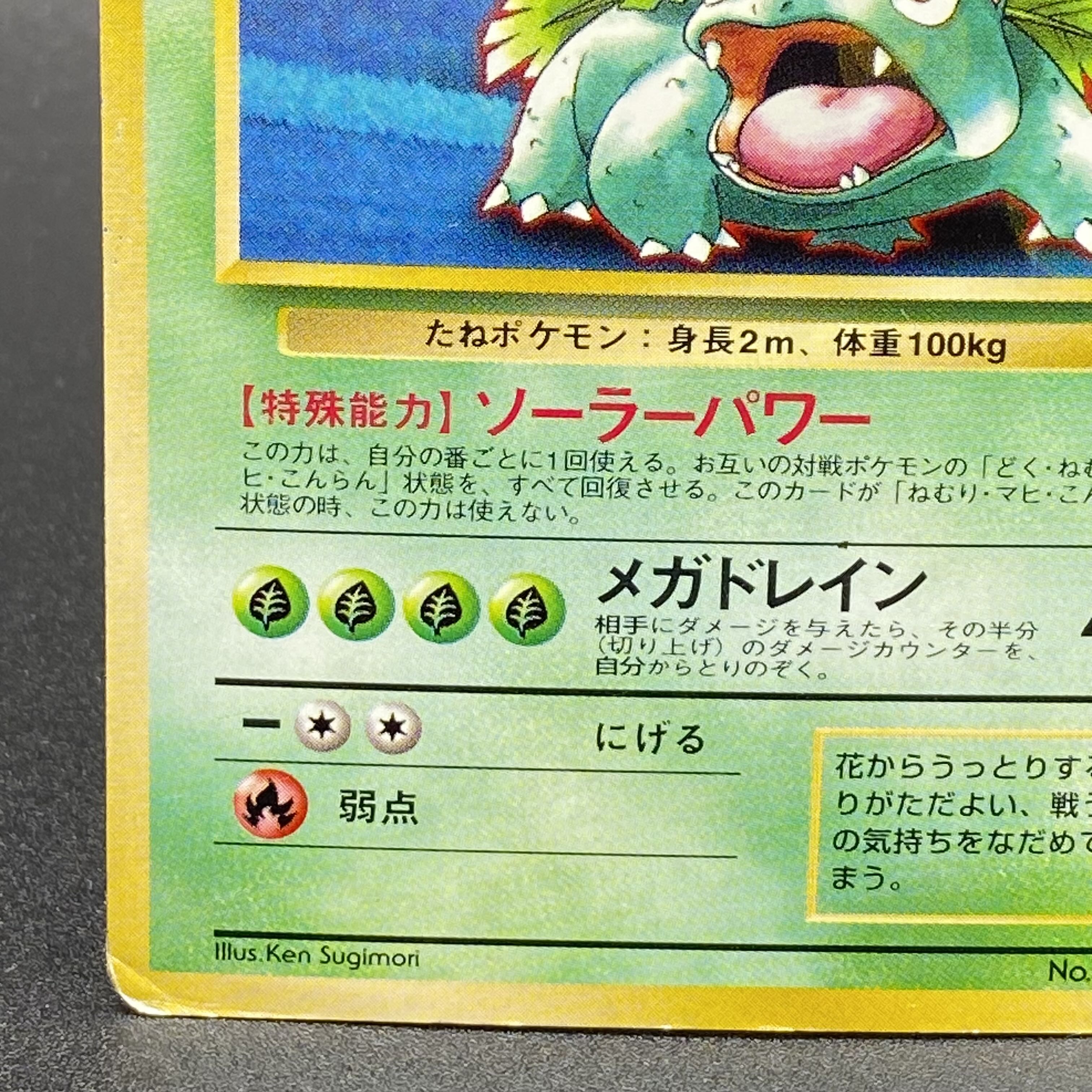 フシギバナ 初版 マークなし 旧裏 [PMCG1-1](拡張パック