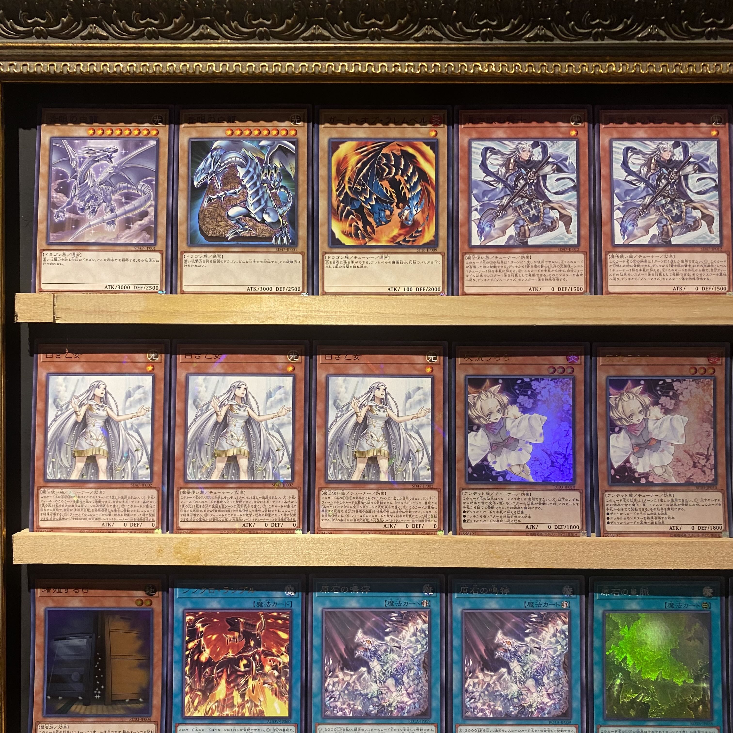 遊戯王 原石ブルーアイズデッキ 遊戯王 原石青眼デッキ 本格構築