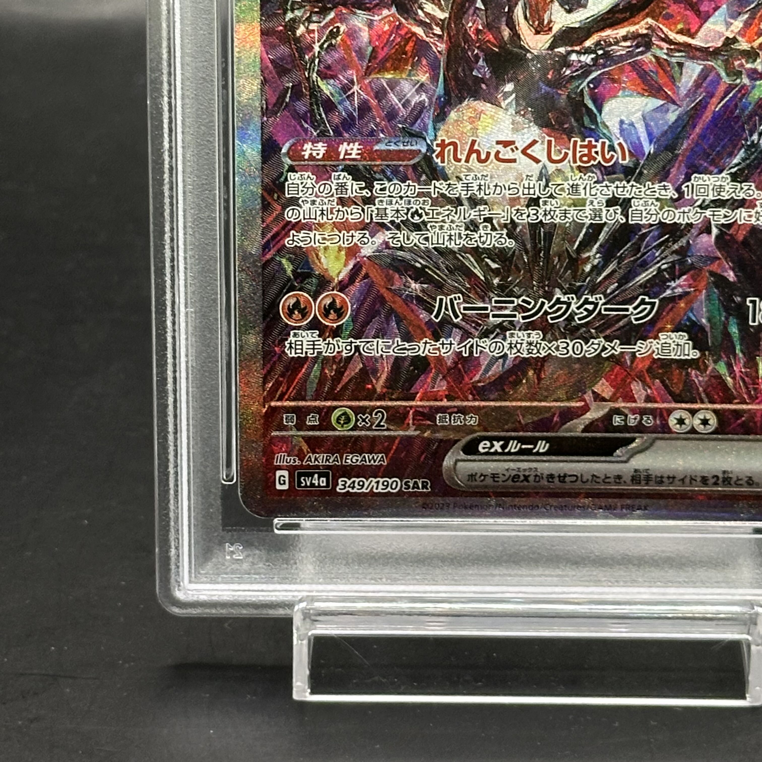 PSA10 リザードンex SAR 2枚セット 新ケース リザードンex sar psa10