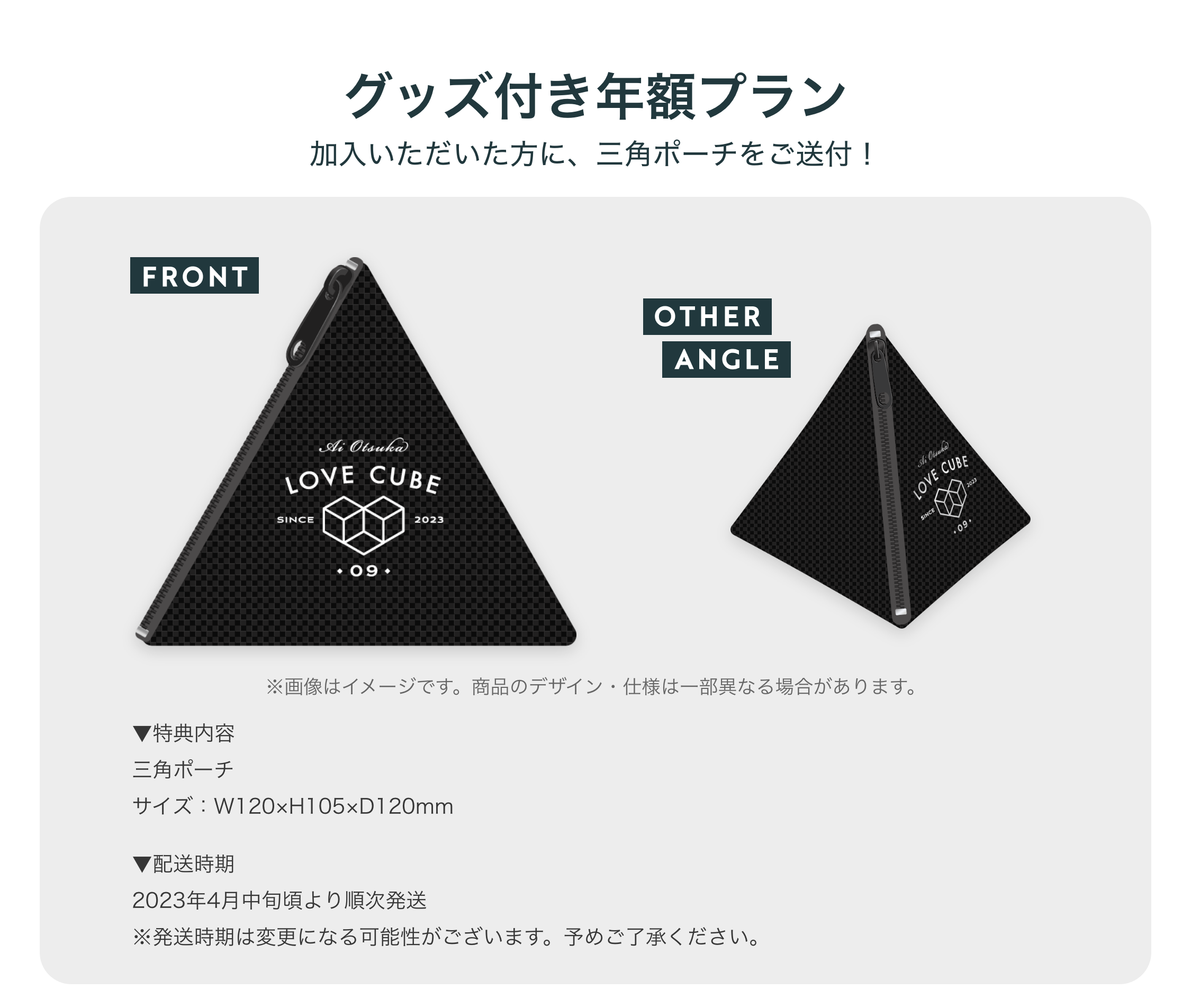 大塚愛 ファンクラブ特典 アナザージャケット 大塚愛 ファンクラブ特典