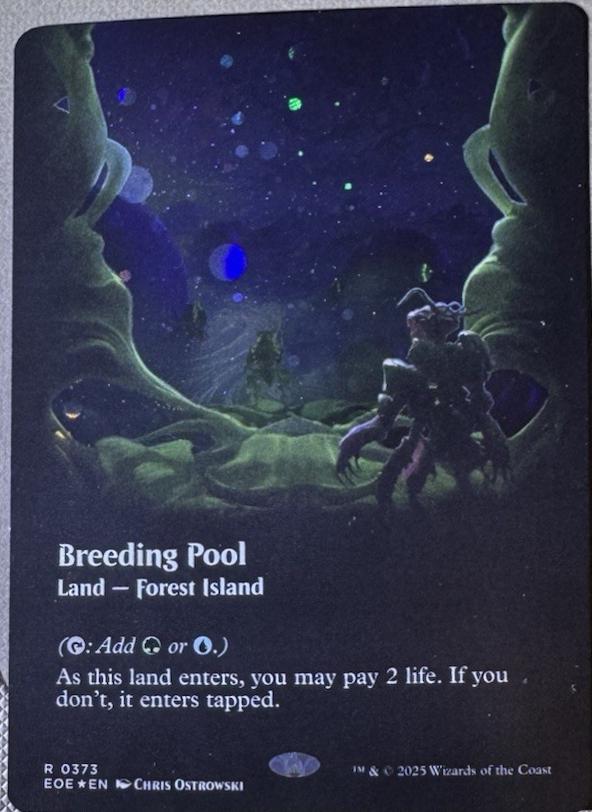 MTG Foil 繁殖池 Breeding Pool ギャラクシー 英語 MTG 繁殖池