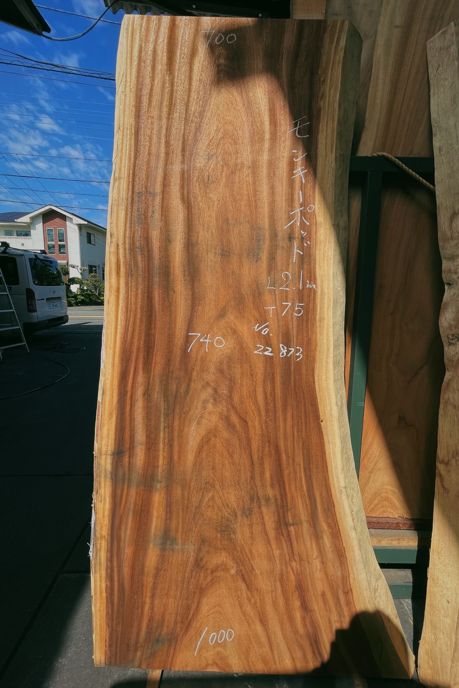 木材標本 3種【日本国産・外国産・熱帯産】 木材標本 3種【日本国産