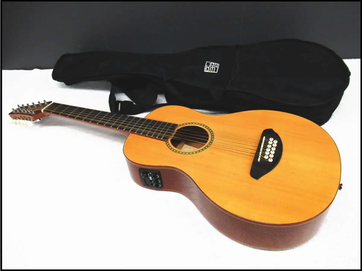 新品弦張替済音音 12弦エレアコ OT-3E NA by James - メルカリ