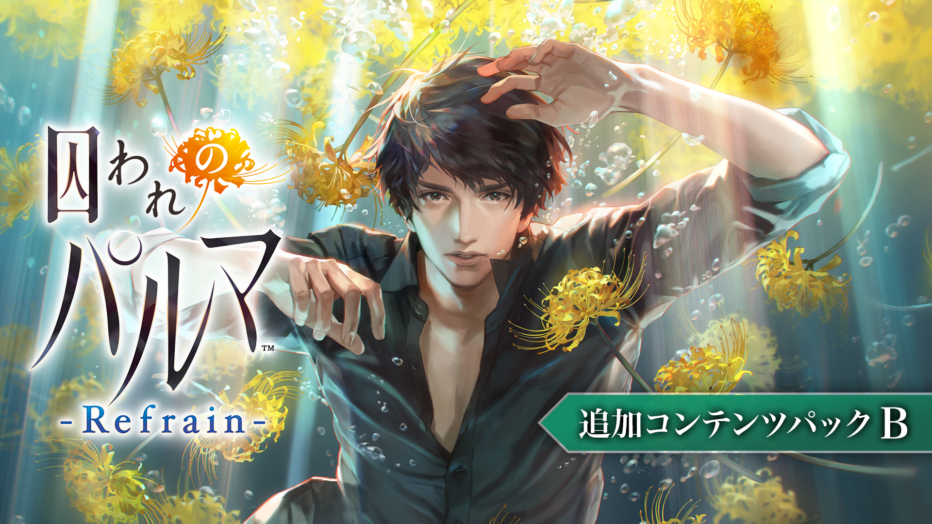 囚われのパルマ Refrain デラックス エディション -Switch 囚われの