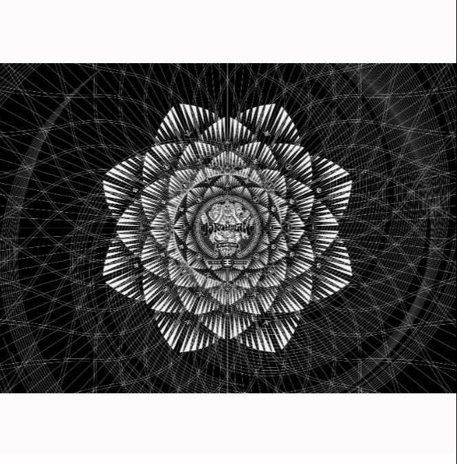 viraha（完全生産限定盤 プレミアムボックス） – TOY'S STORE