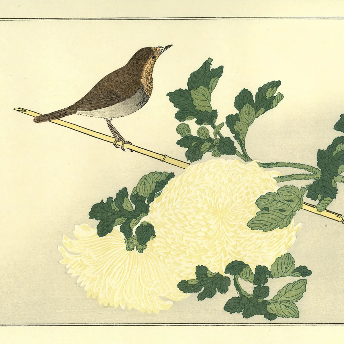 uk_utamaro112_main_1200x1200_c