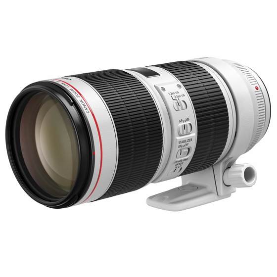 Canon純正マウントアダプターと300mm望遠レンズセット マウント