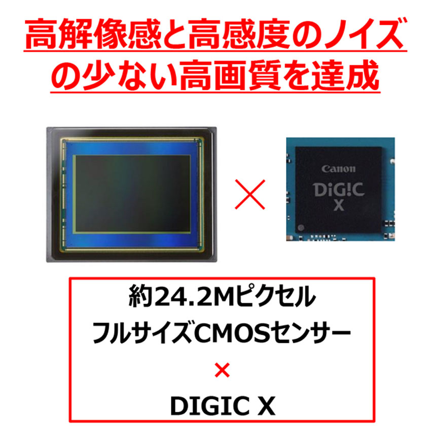 EOS R8・RF24-50mm F4.5-6.3 IS STM レンズキット：通販 | ミラーレス