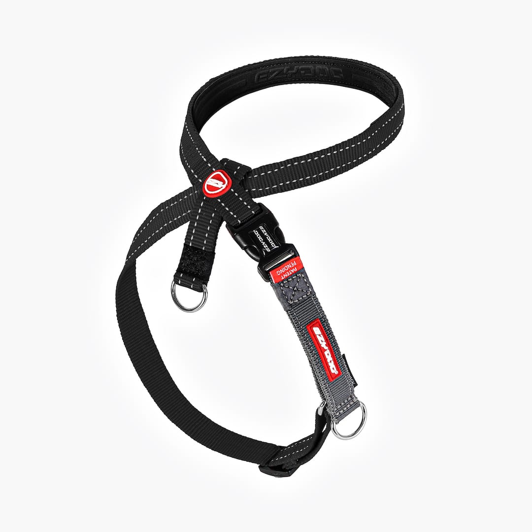 EZYDOG 迷彩柄 ハーネス イージードッグ セット SとXS EZYDOG(イージー