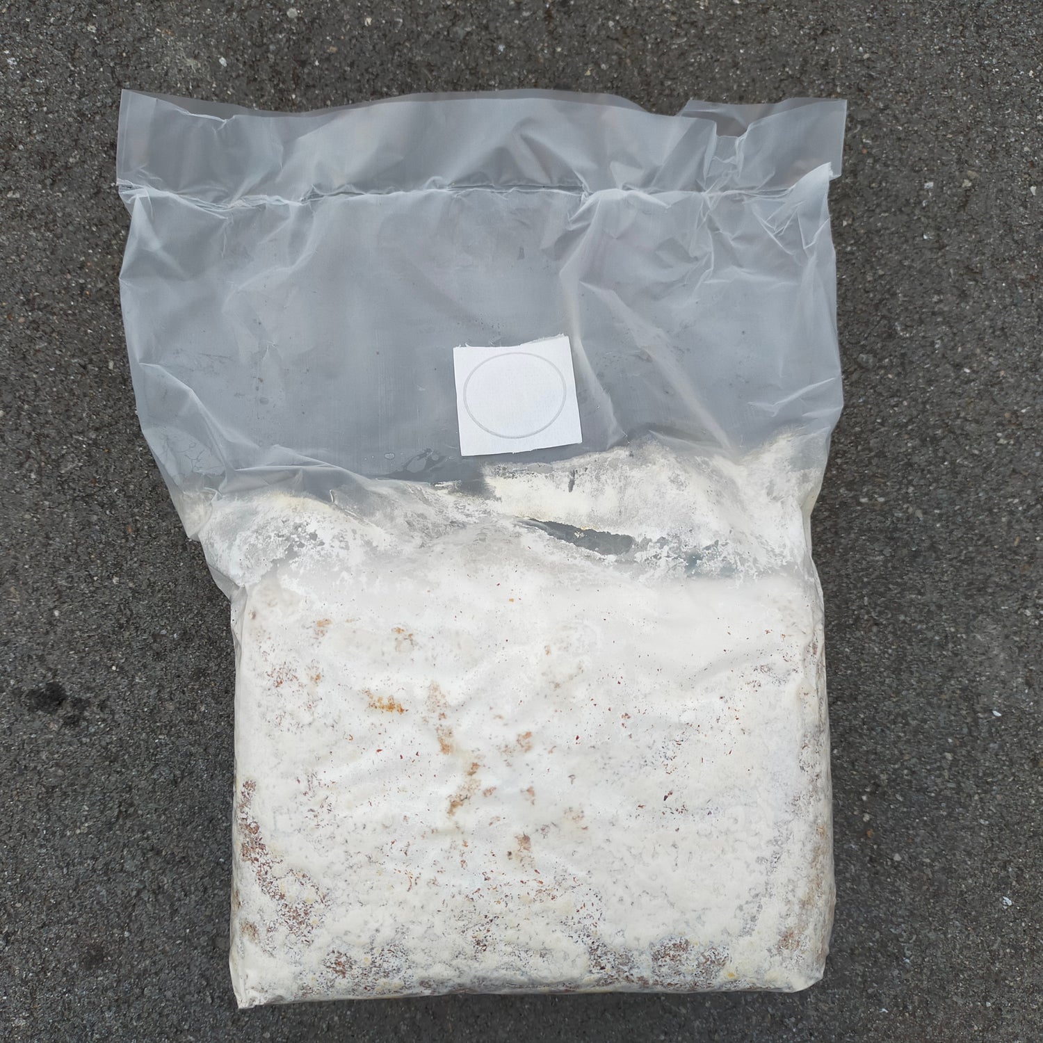 ヒラタケ菌糸ブロック：クヌギ100%・微粒子 – 深山農園