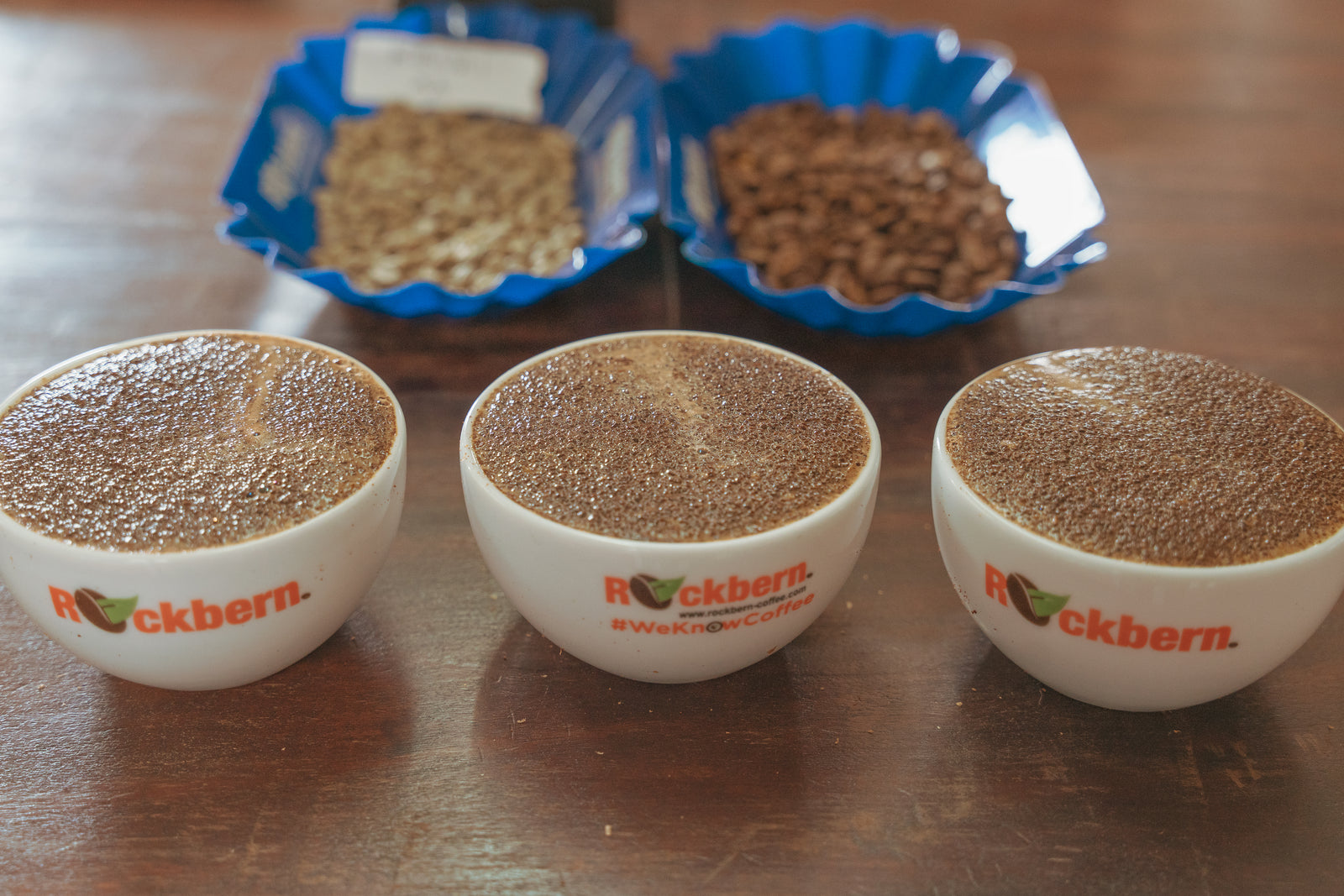 とこエチオピア Shantawane & ケニア Kii/Kieni AA とこ様専用