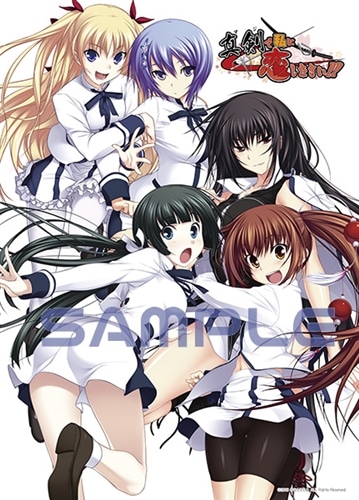 真剣で私に恋しなさい！ ビジュアルファンブック』B2タペストリー