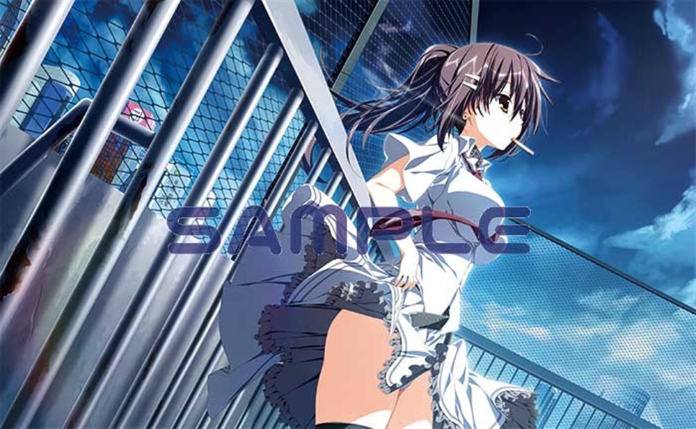 素晴らしき日々 不連続存在 水上由岐 非売品スリーブ 65枚入