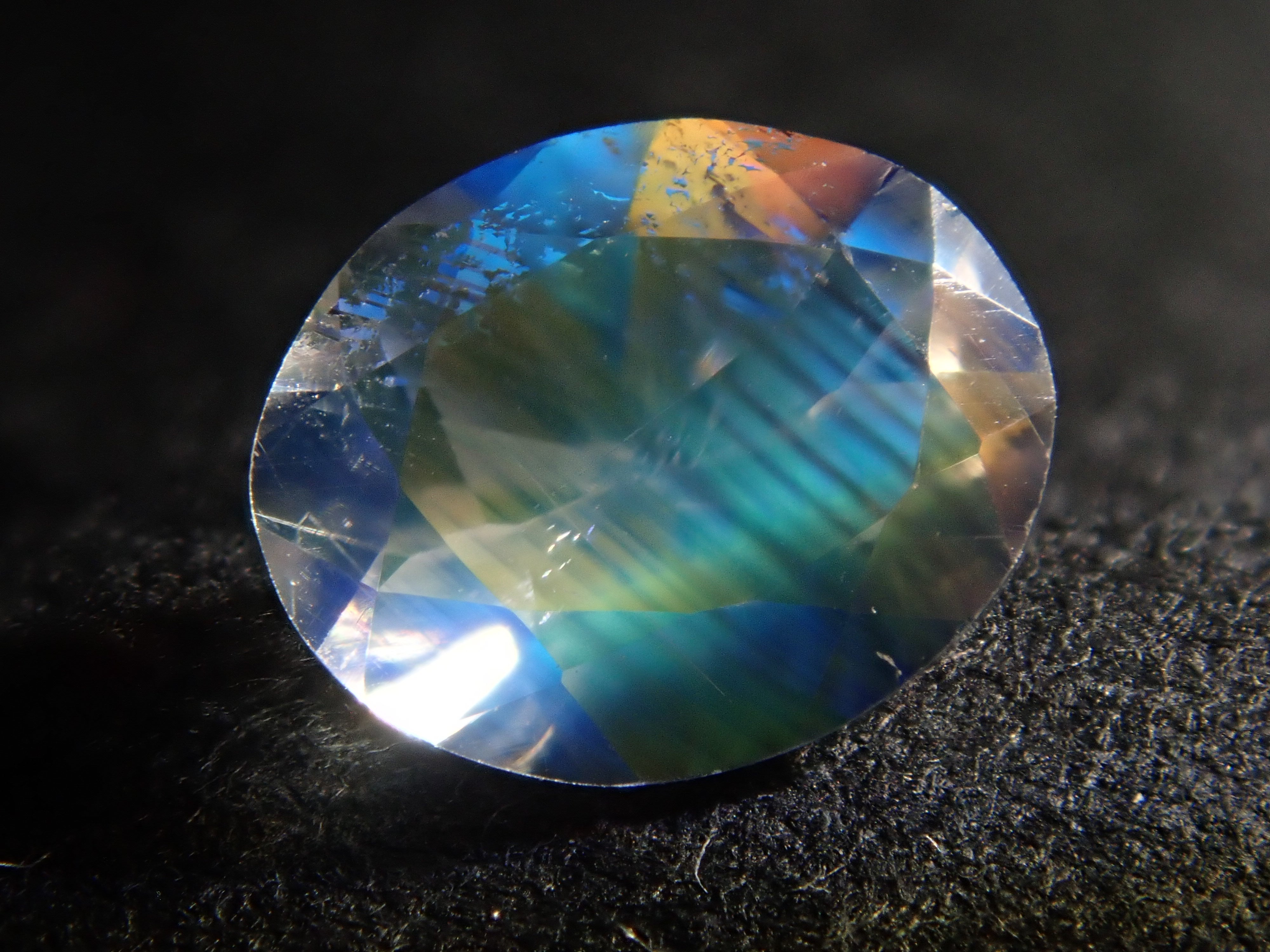 P4093893.jpg?crop=center&