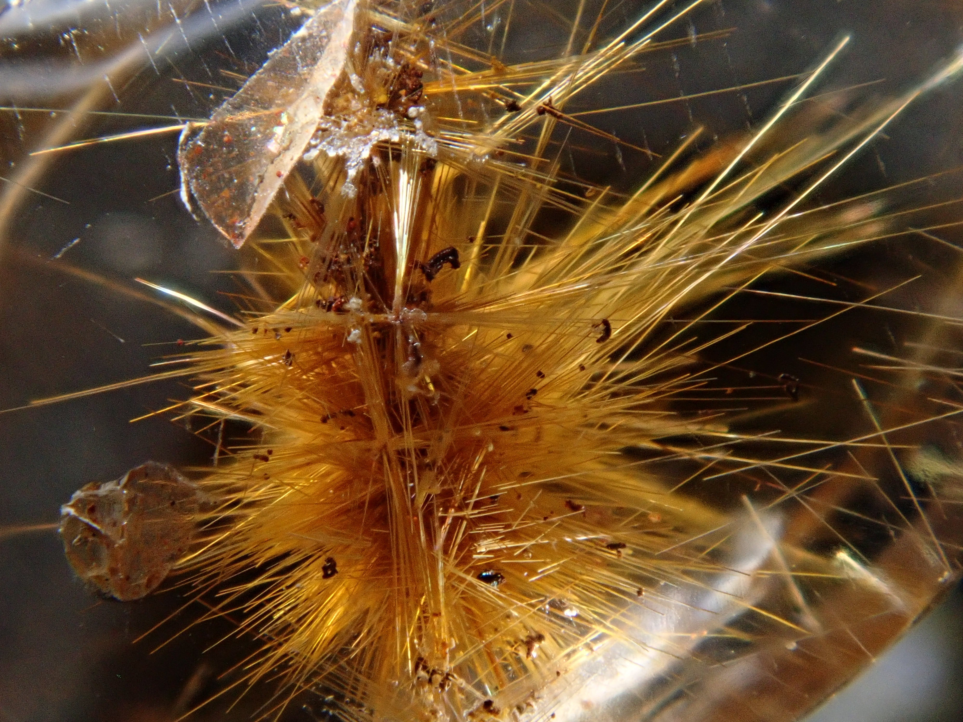 ブラジル産フラワールチルインクォーツ 5.122ctルース