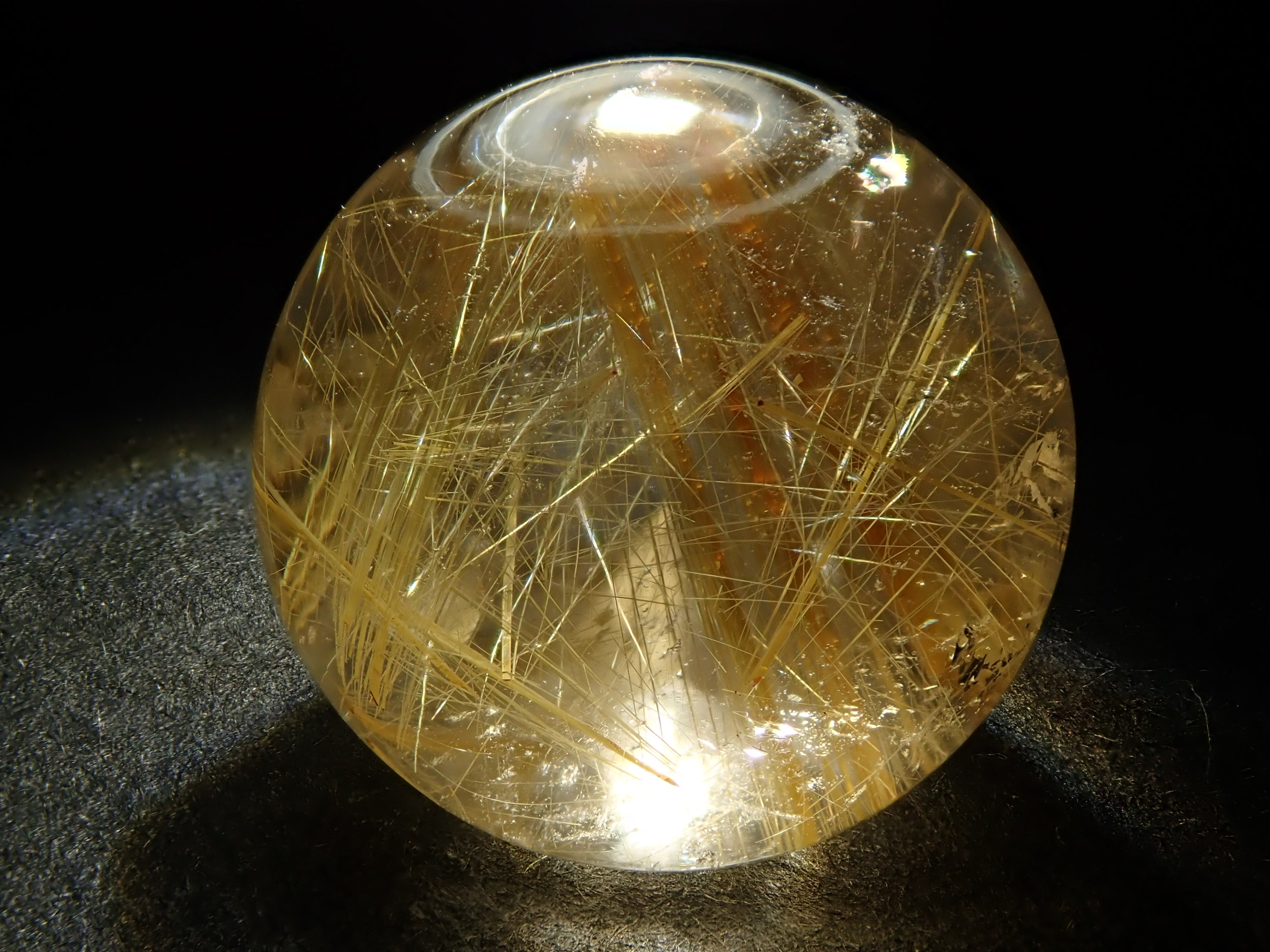 PB082423.jpg?v=1731060885&