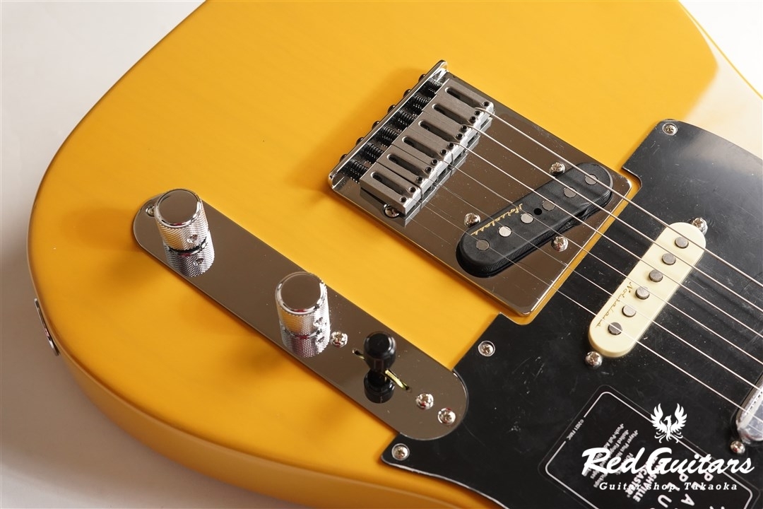 Fender Player Plus Nashville Telecaster - Butterscotch Blonde