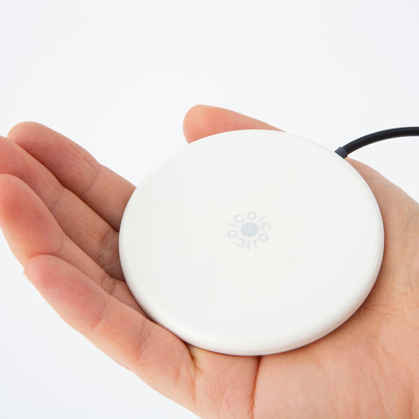 金霊神nigiとコイコイコイルのセット 金霊Nigi コイコイコイル おまけ