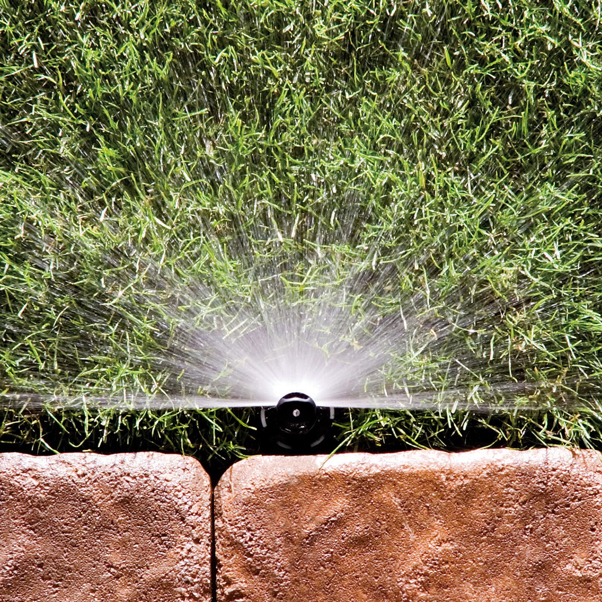 アイリスサイン SSPharukaze アイリスサイン SSPharukaze アイリス