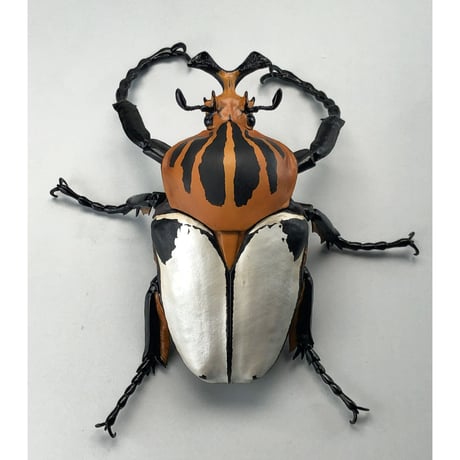 予約受付終了】【4個入りパック】1/1 ゴライアスオオツノハナムグリ